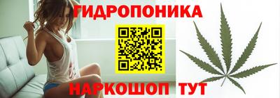 соль ск Дубна