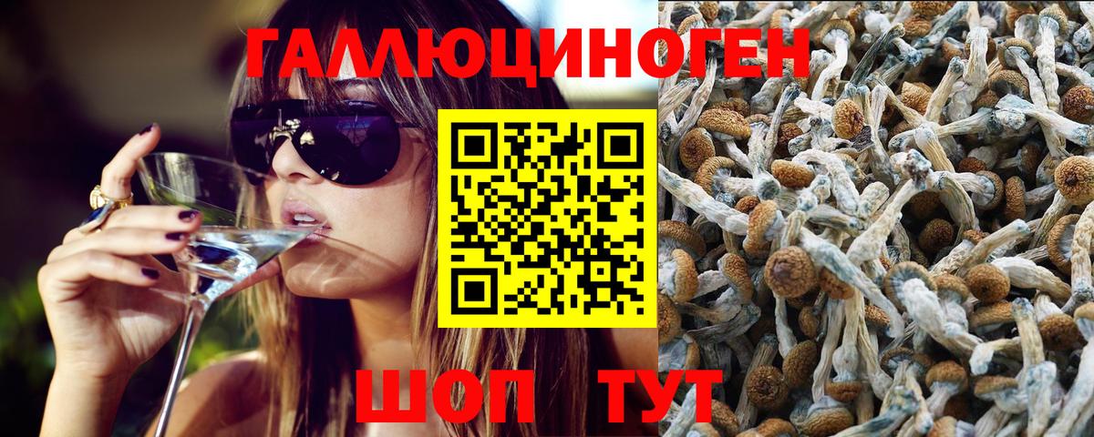 Псилоцибиновые грибы мухоморы Тельмана